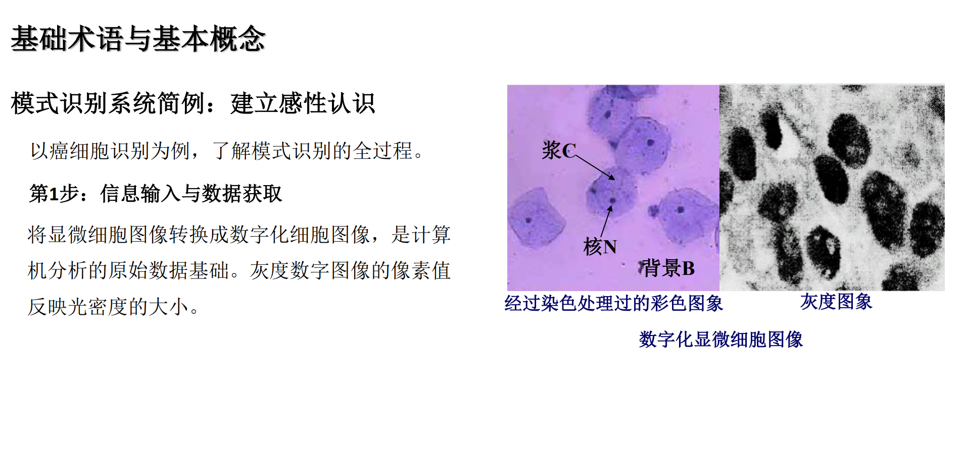 image-20250101192540399