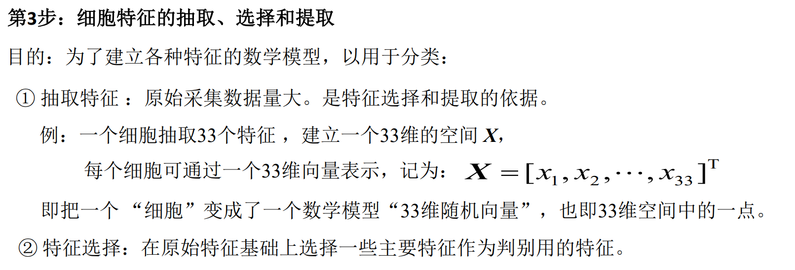 image-20250101192609379